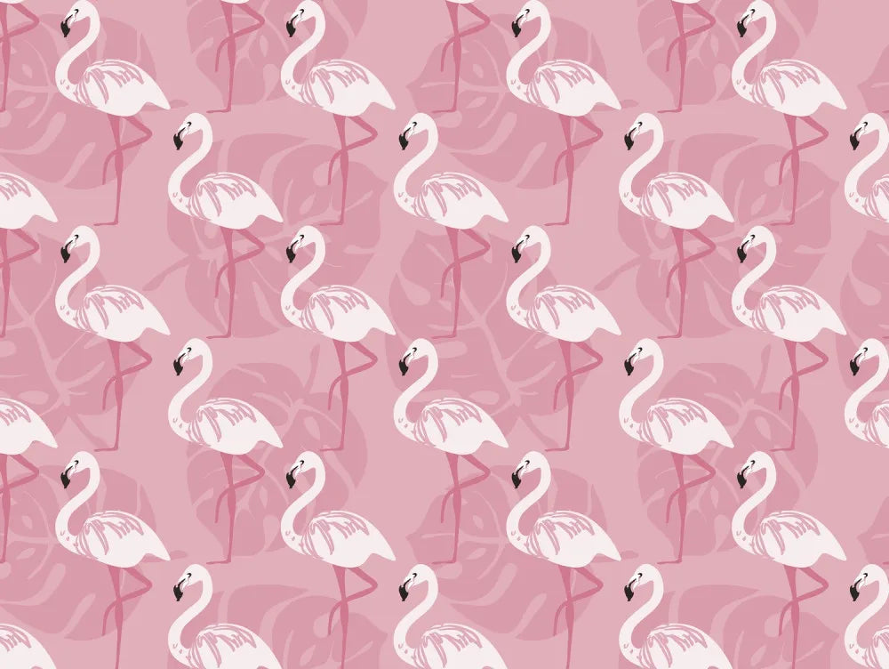 Pink flamingos