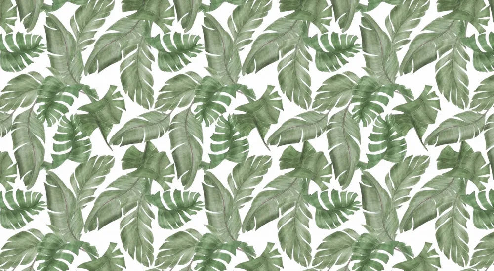 Tropical leaves