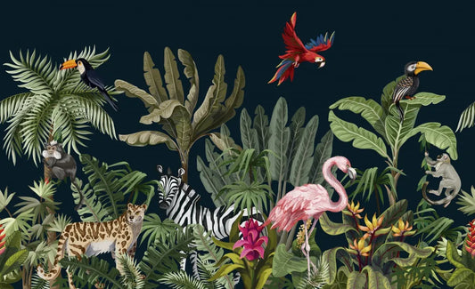The richness of the tropics