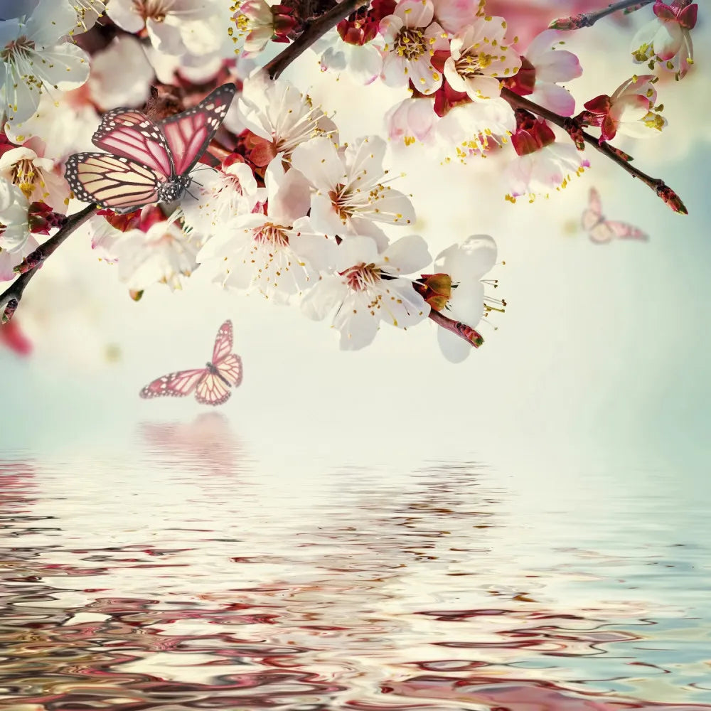 Cherry blossoms and butterflies