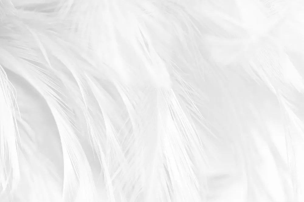 Soft feathers