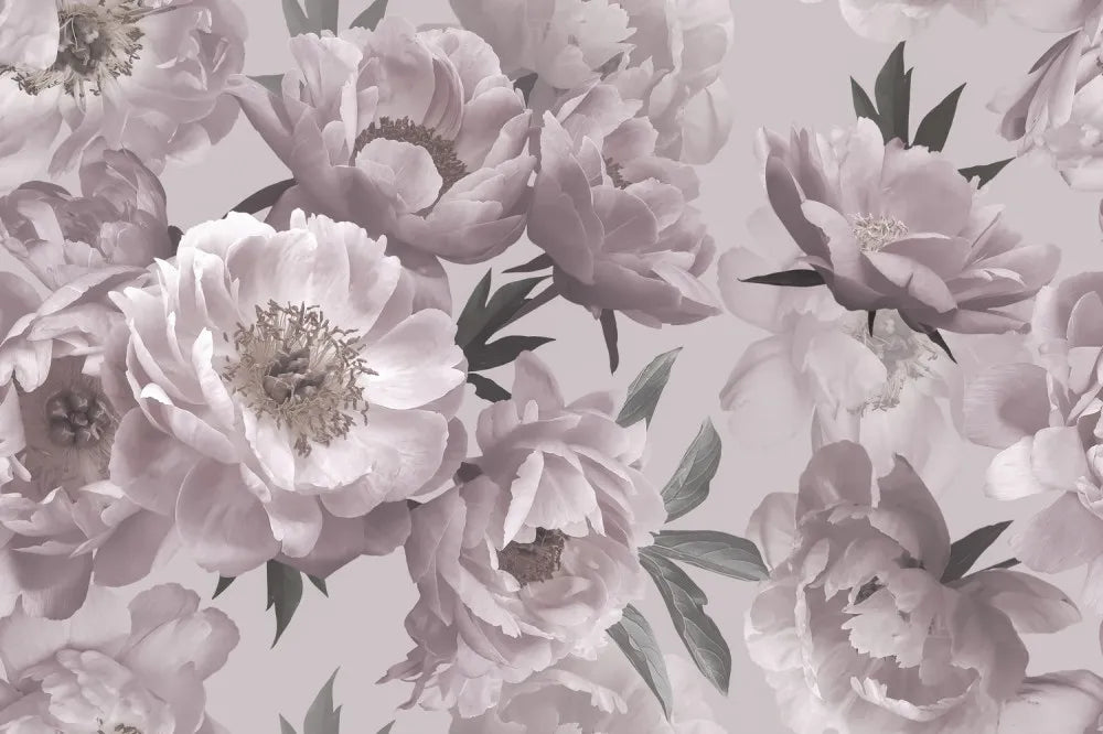 Powdery peonies