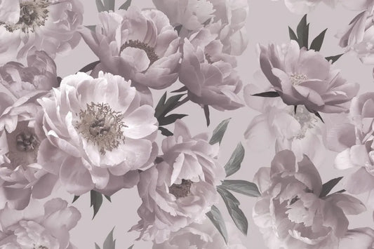 Powdery peonies