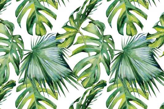 Large tropical leaves
