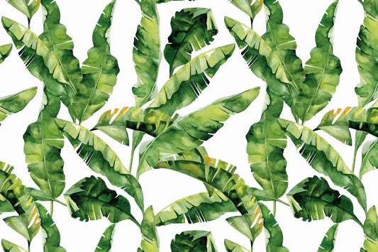 Banana leaves