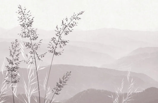 Dawn in a field