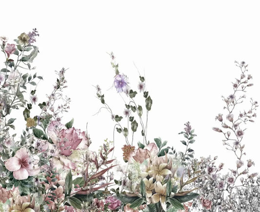 Gorgeous bloom