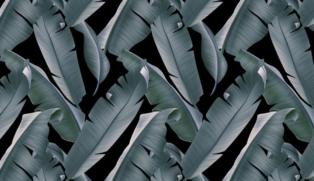 Banana leaves in the mist