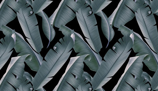 Banana leaves in the mist