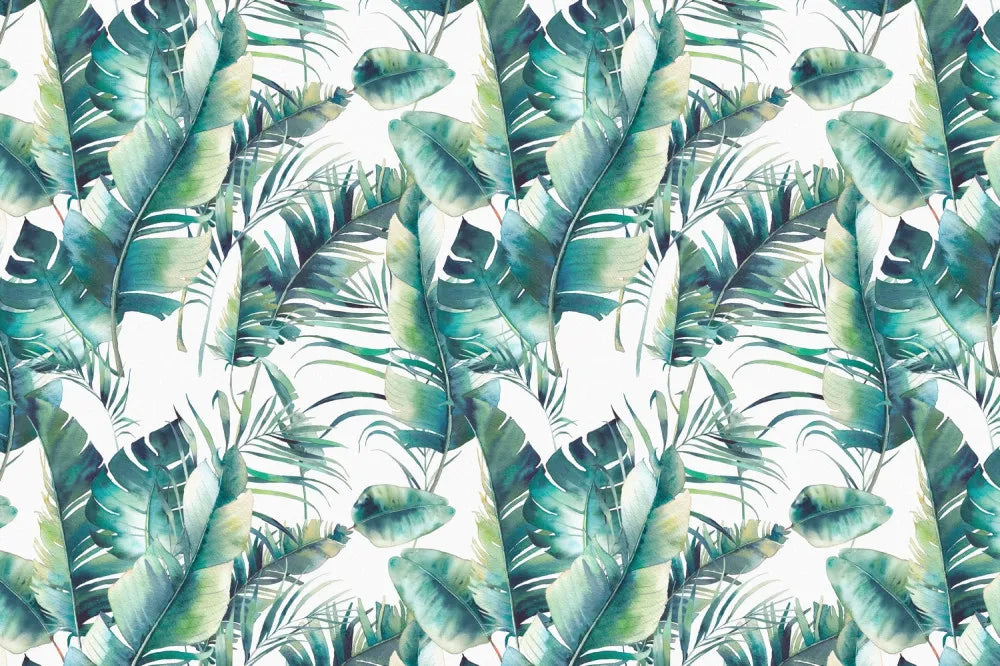 Young tropical leaves