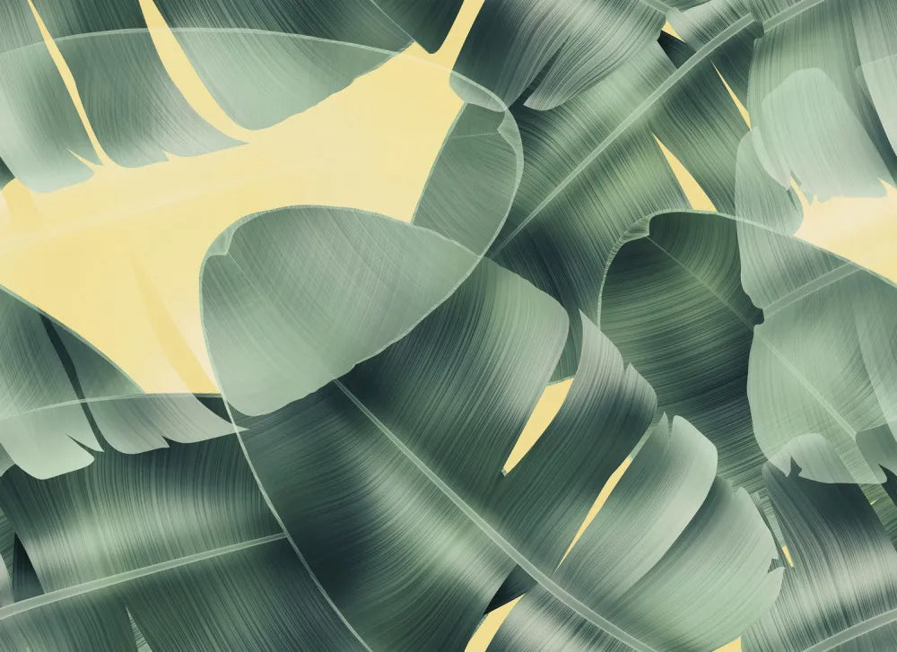 Delicate foliage