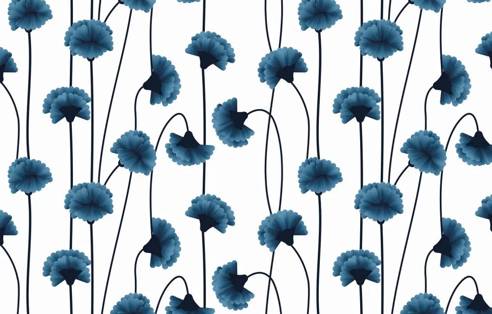 Blooming cornflower