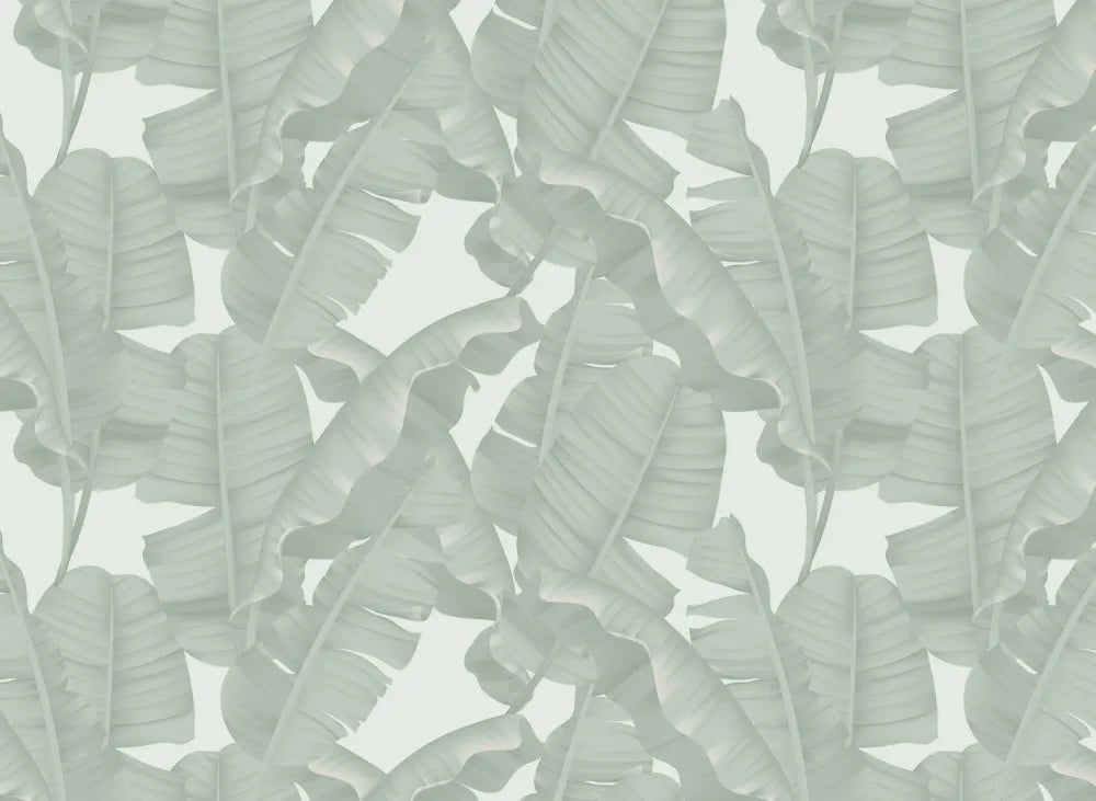 Delicate tropical leaves