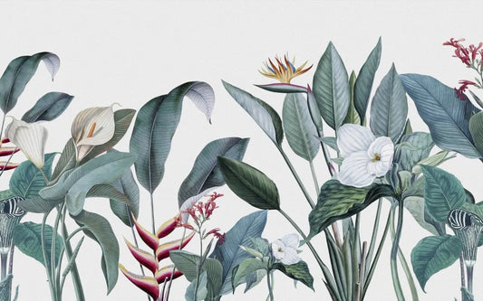 Tropical garden