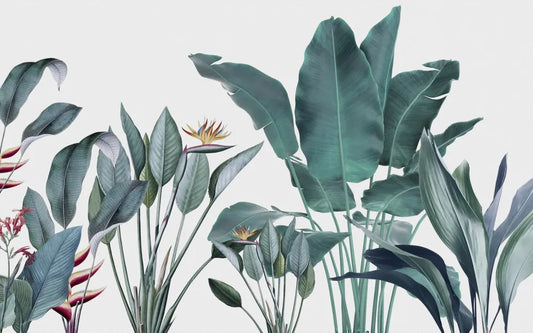 Tropical foliage garden
