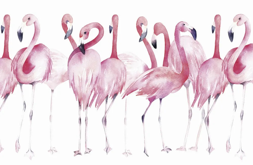 Pink flamingos