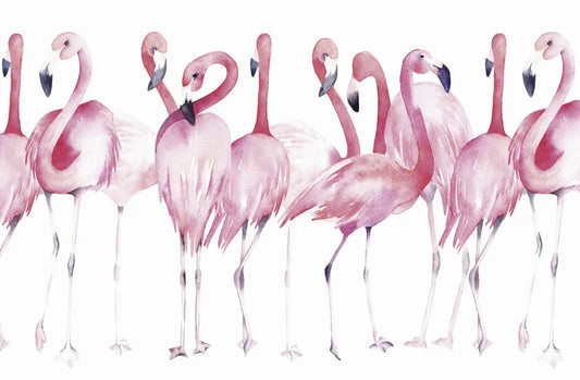 Pink flamingos