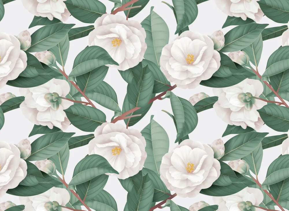 Delicate Magnolia
