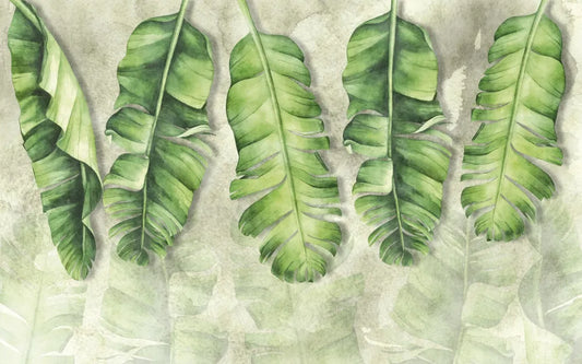 Young banana leaves