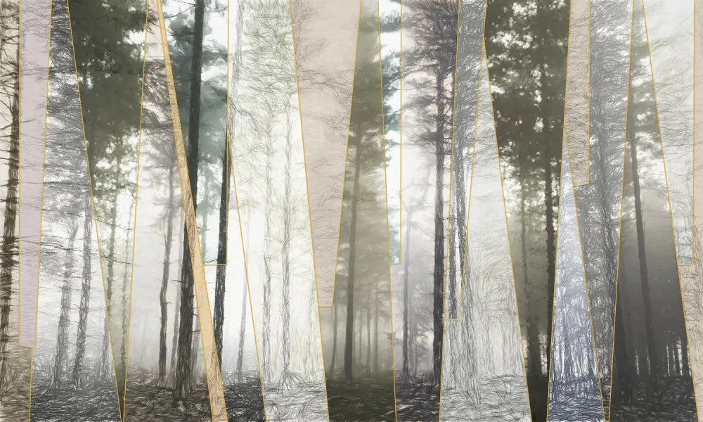 Magic forest