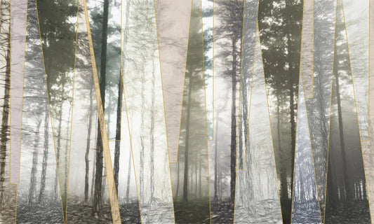 Magic forest
