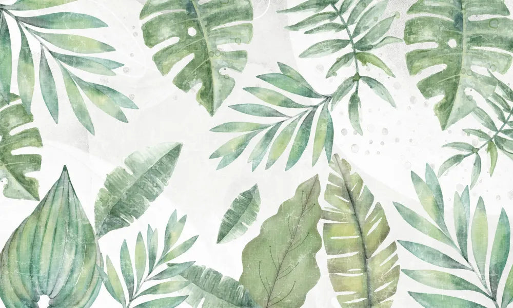 Graceful tropical foliage