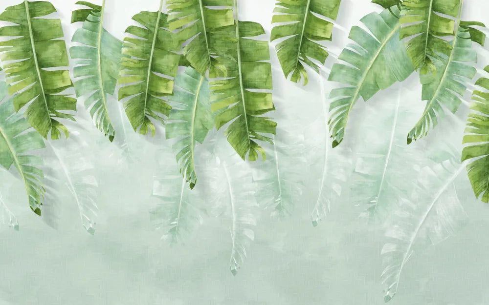 Young banana leaves