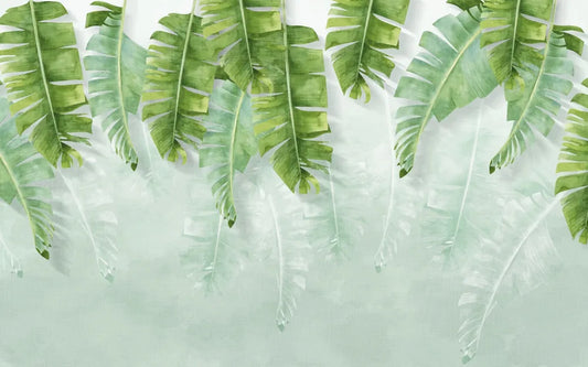 Young banana leaves