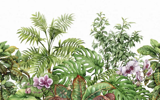 Young tropical garden