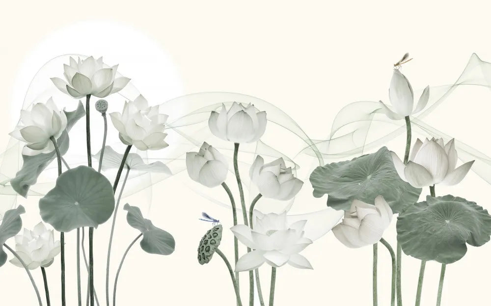 Blossoming Lotus at dawn