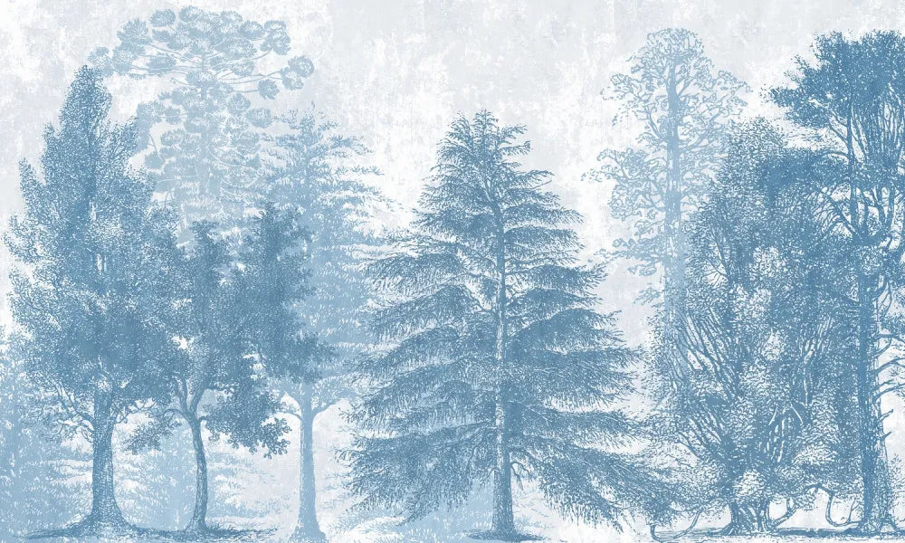 Misty garden