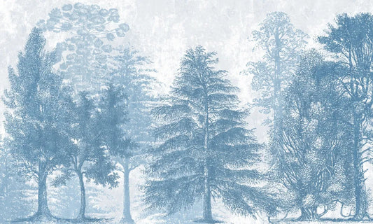 Misty garden
