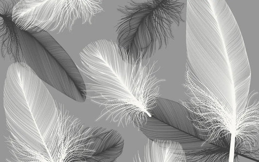 Flying feathers
