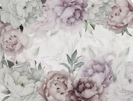 Delicate peonies at dawn