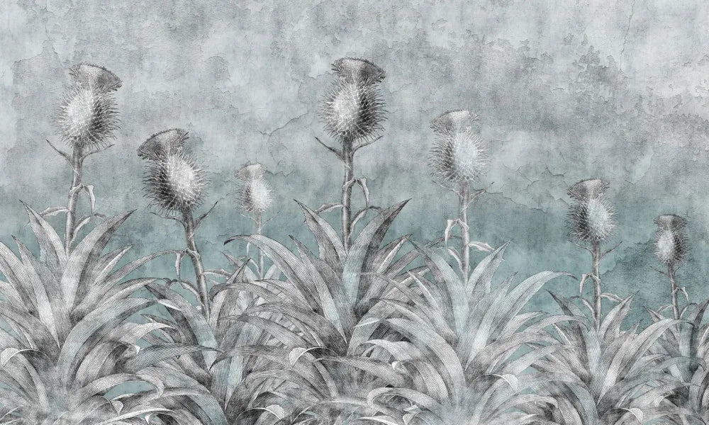 Mysterious thistle