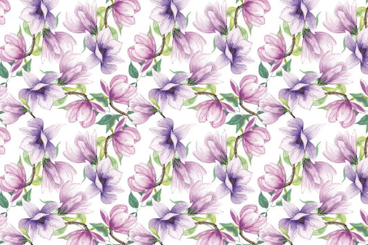 Blooming magnolia