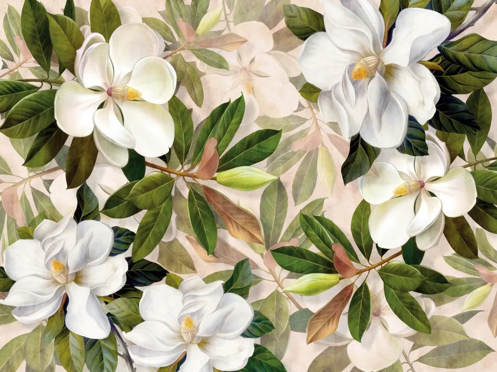 Spring flowering magnolia