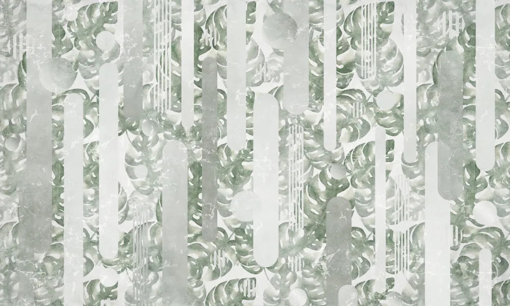 Large monstera leaves