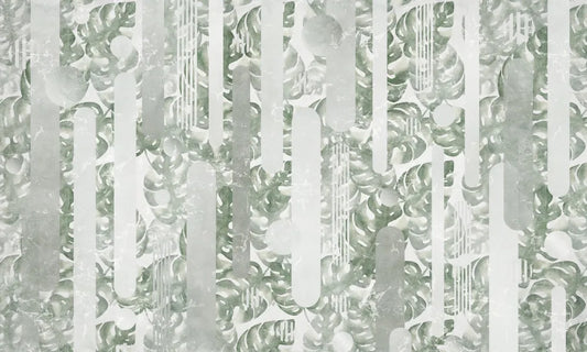 Large monstera leaves