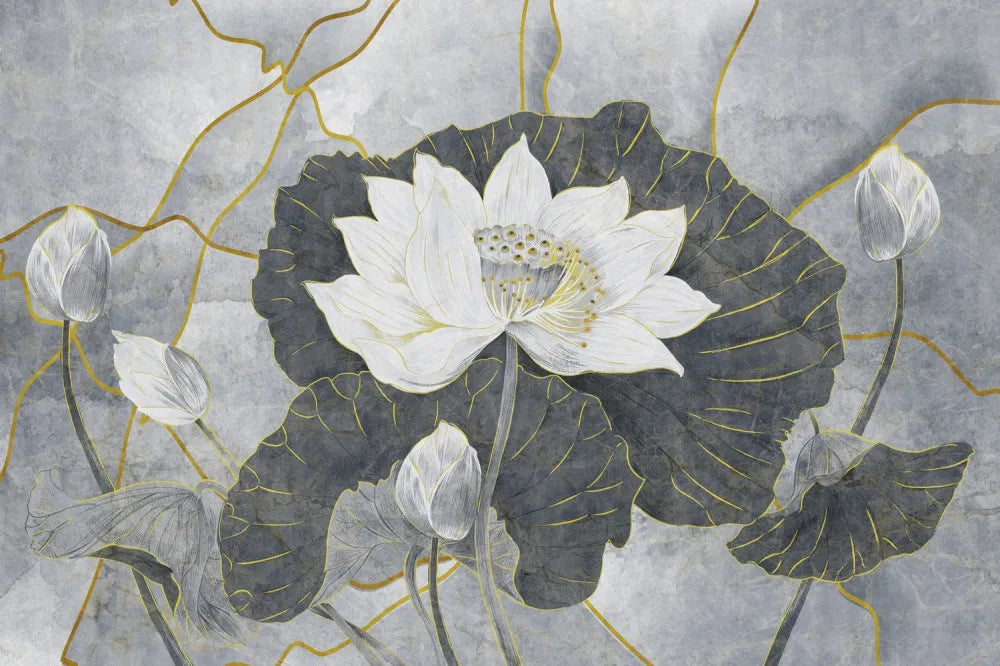 Water lily