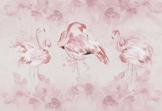 Flamingo beauty