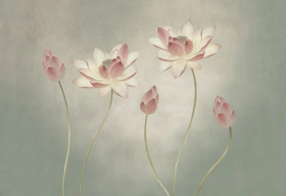 Wild lotus