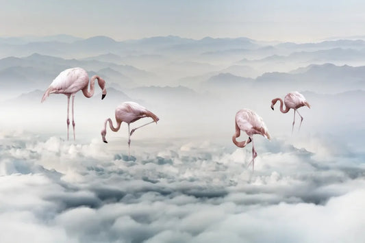 Exotic flamingos