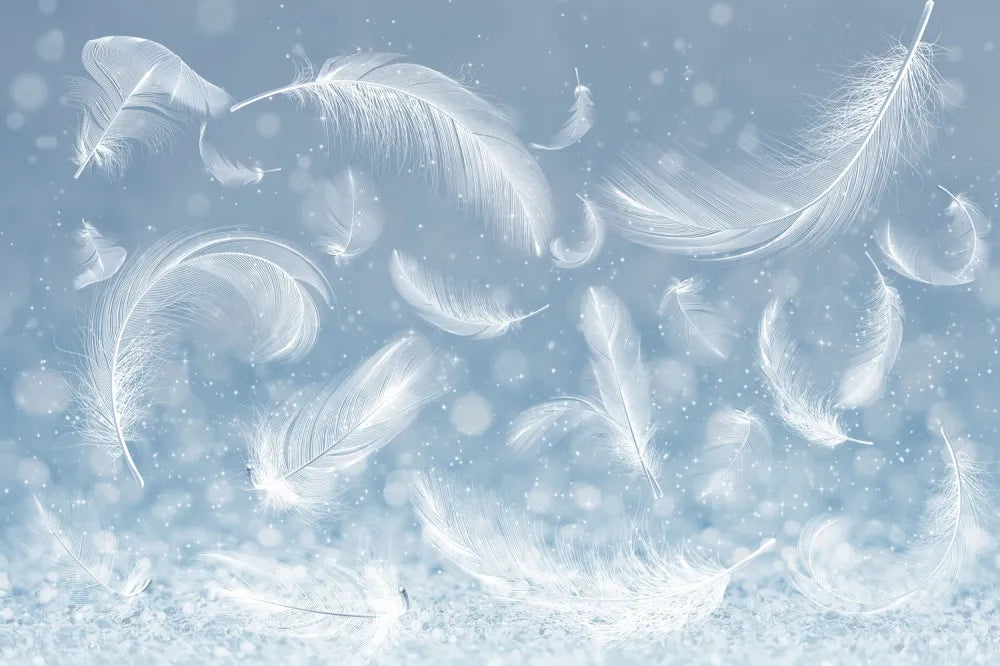 White bird feathers