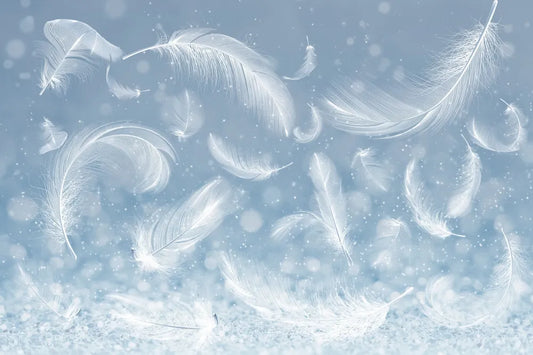White bird feathers