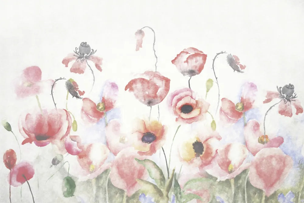 Beautiful poppies field