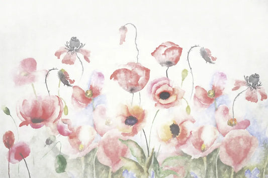 Beautiful poppies field