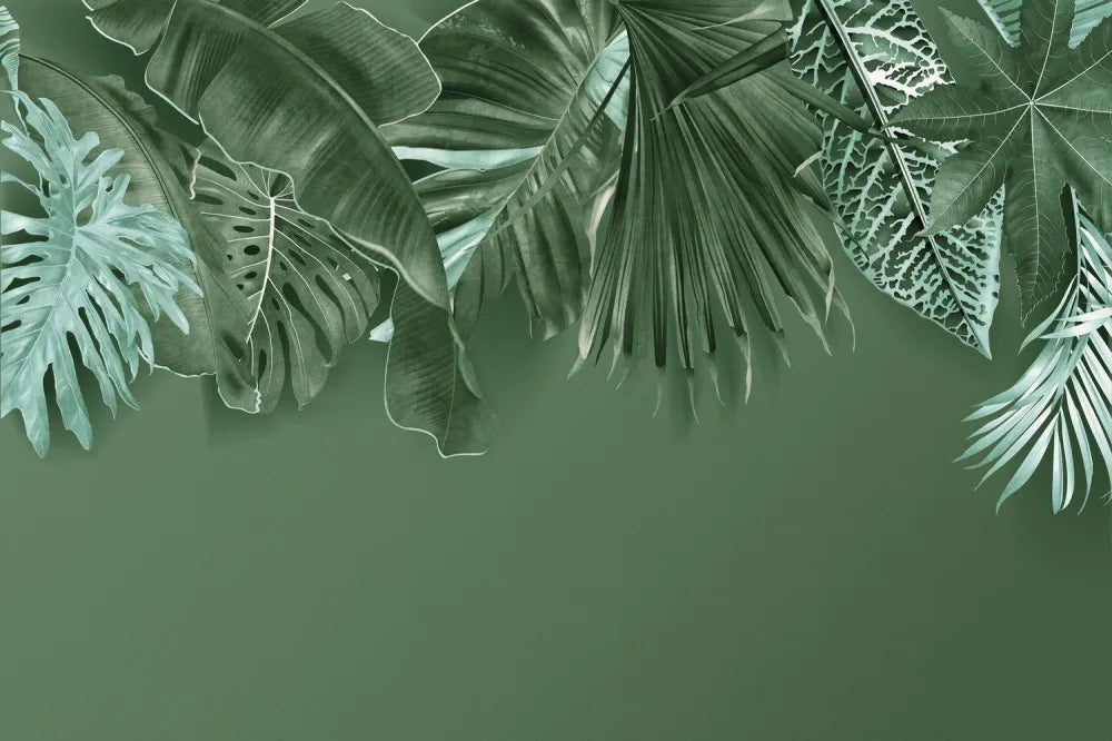 Green tropical leaves