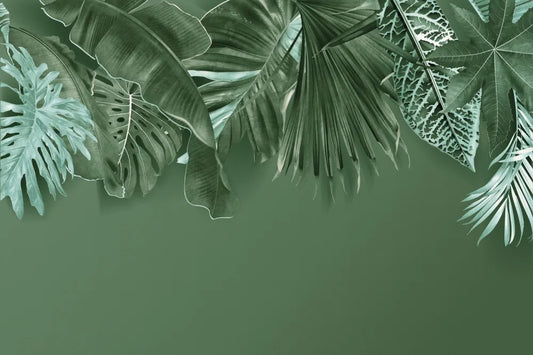 Green tropical leaves
