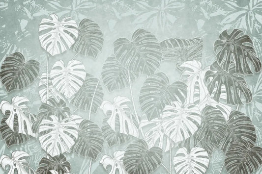 Monstera leaf drawing